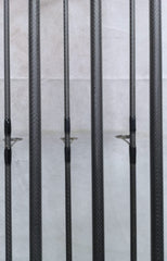 Century FG 12ft 2.75LB Carp Rods X3