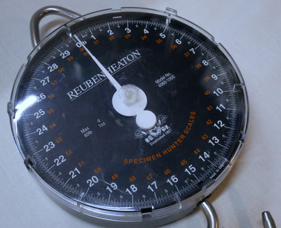 Reuben Heaton Specimen Hunter Scales 60lb X 1oz 4060-100S