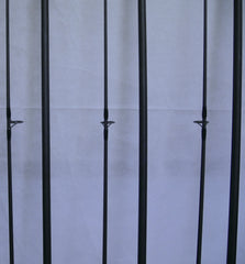 Century C2 SP 12ft 3.75lb Carp Rods X3